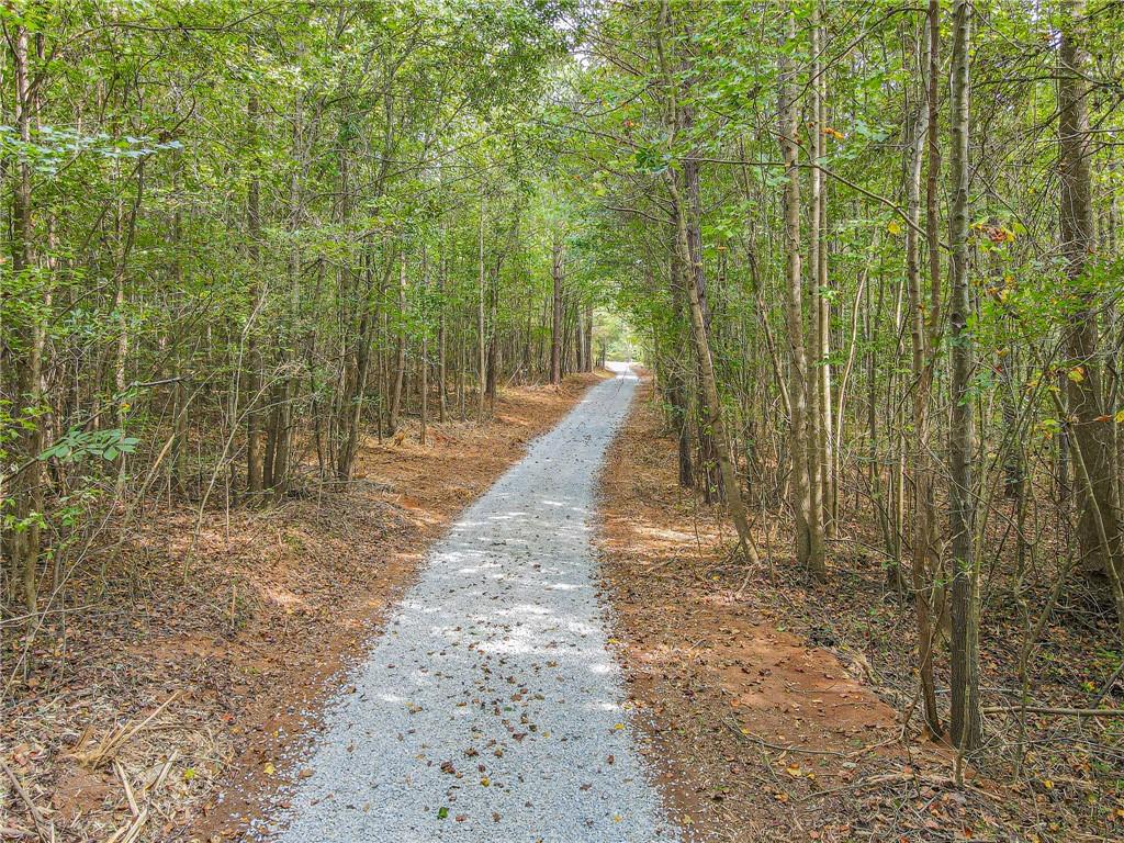 Freedom Lane, Commerce, Georgia image 2