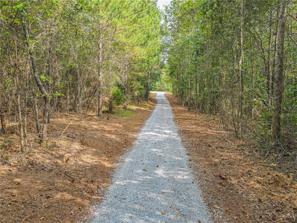 Freedom Lane, Commerce, Georgia image 7