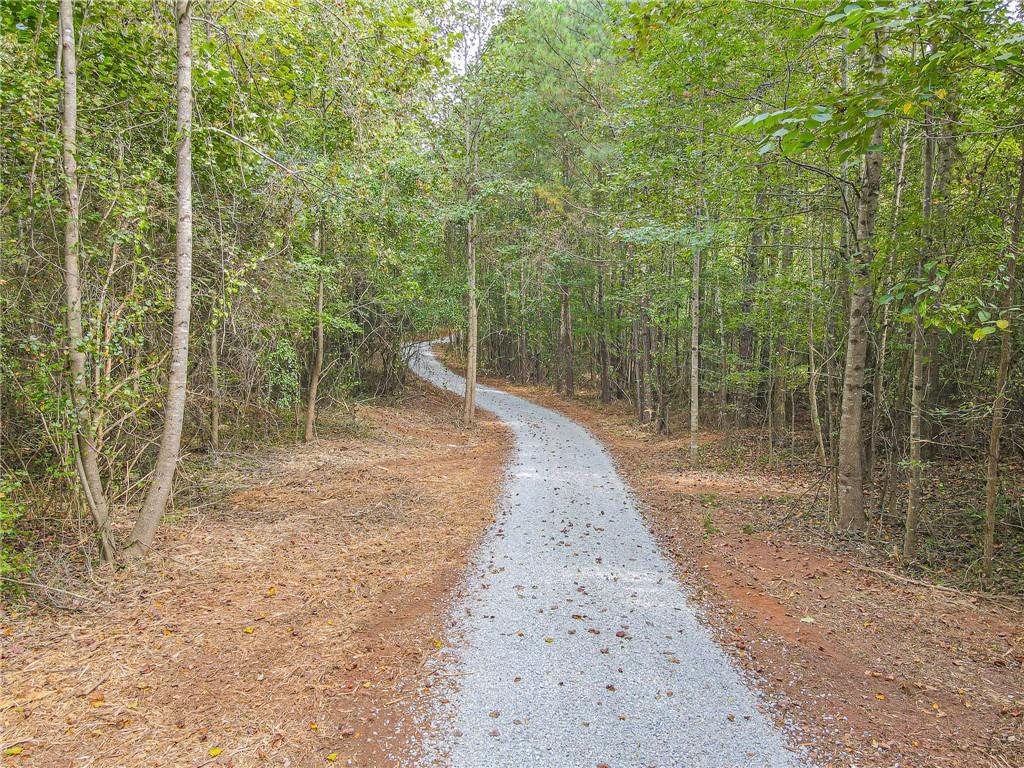 Freedom Lane, Commerce, Georgia image 9