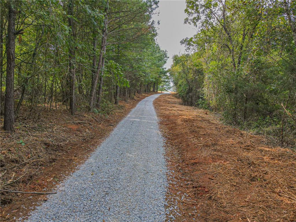 Freedom Lane, Commerce, Georgia image 5