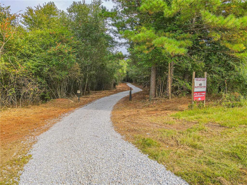 Freedom Lane, Commerce, Georgia image 3