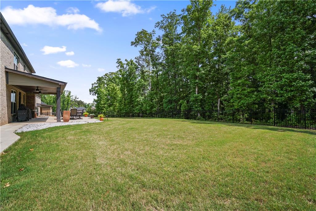 317 Basel Way, Hampton, Georgia image 50