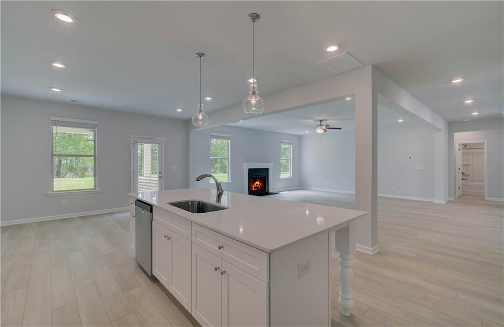 177 Haverling Pass, Hampton, Georgia image 20