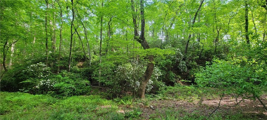 20-A Vineyard Road, Dallas, Georgia image 6