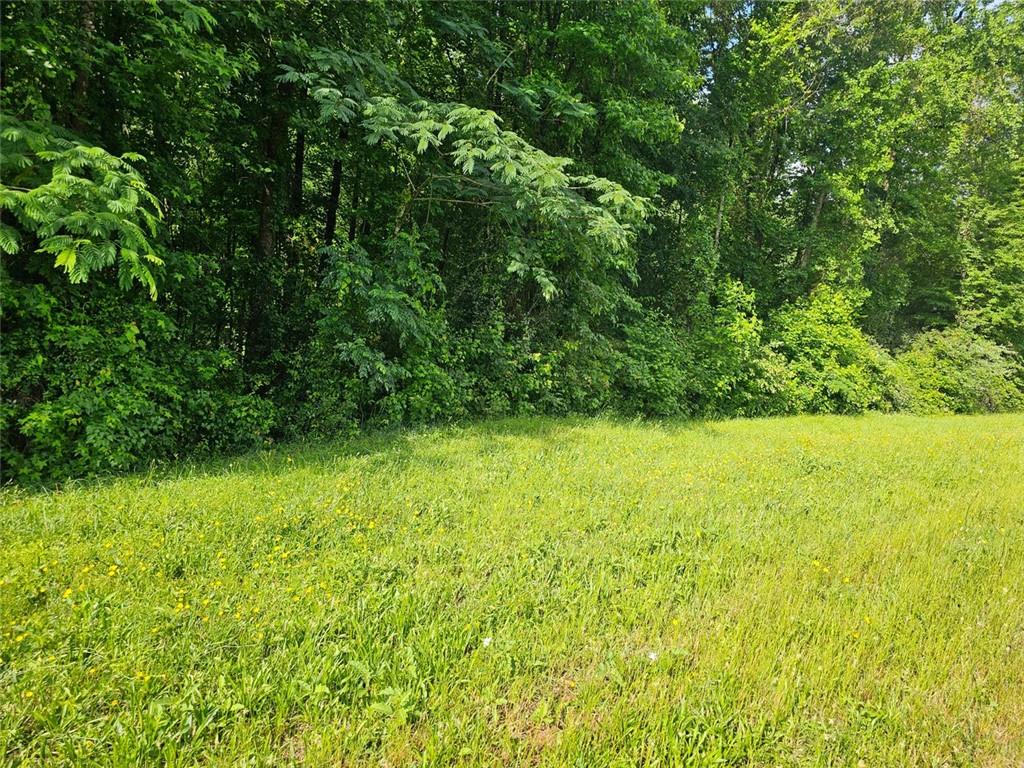 112 Scenic Drive, Hoschton, Georgia image 2