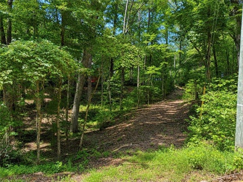 Vacant Land For Sale - 6195 Belle Meade Drive<br/> Villa Rica, GA 30180