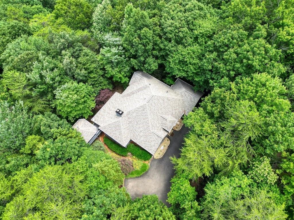 159 Cinnamon Fern Lane, Big Canoe, Georgia image 4