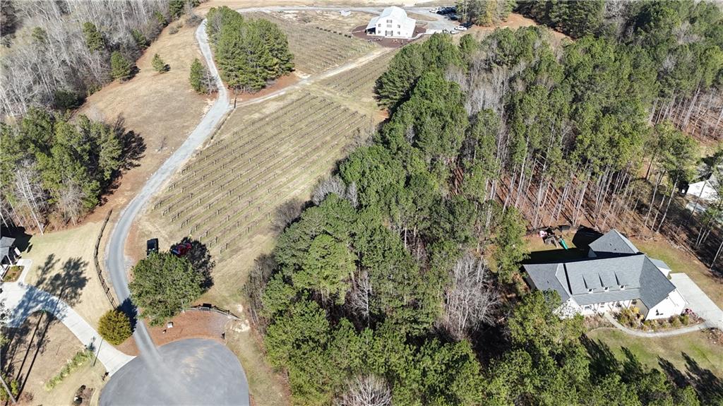 Lot 39 The Flower Farm