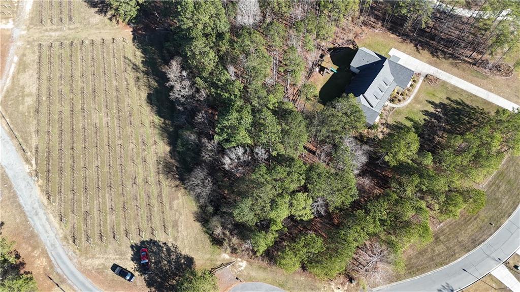 Lot 39 The Flower Farm