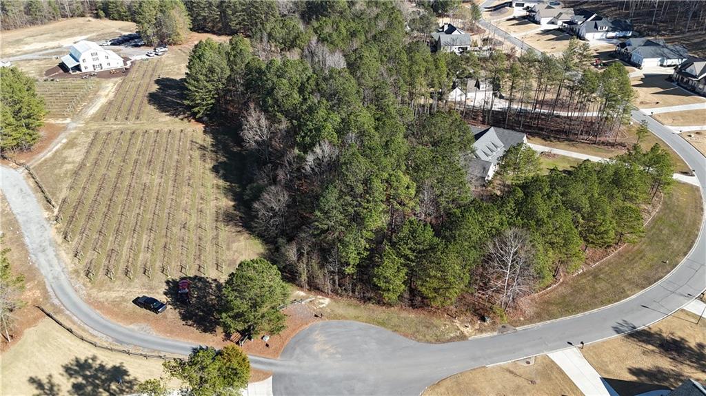 Lot 39 The Flower Farm