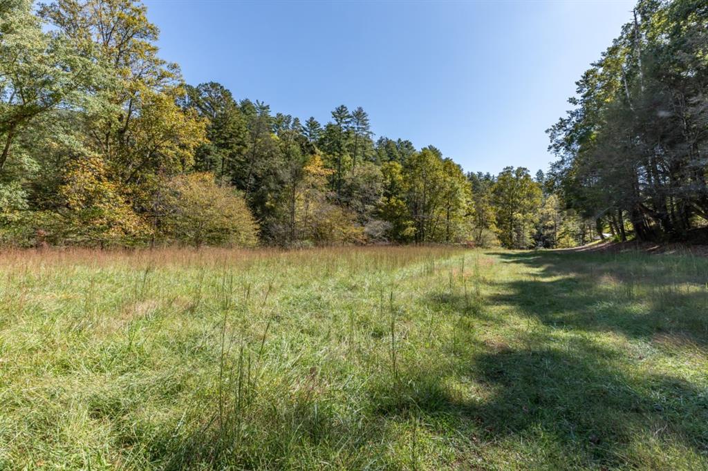 Old Rock Creek Road, Blue Ridge, Georgia image 41