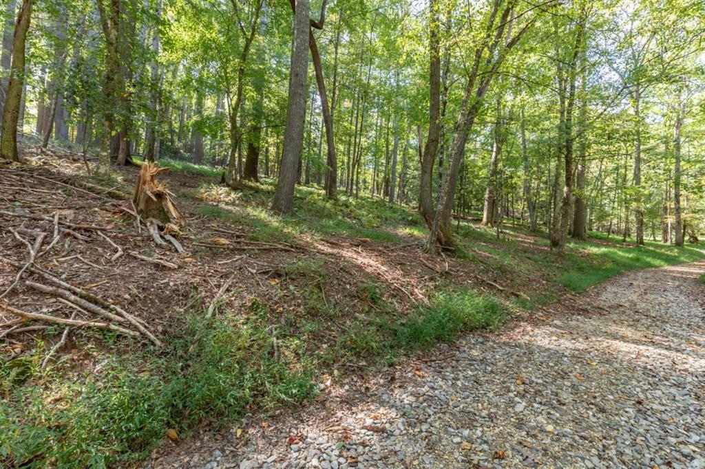 Old Rock Creek Road, Blue Ridge, Georgia image 47