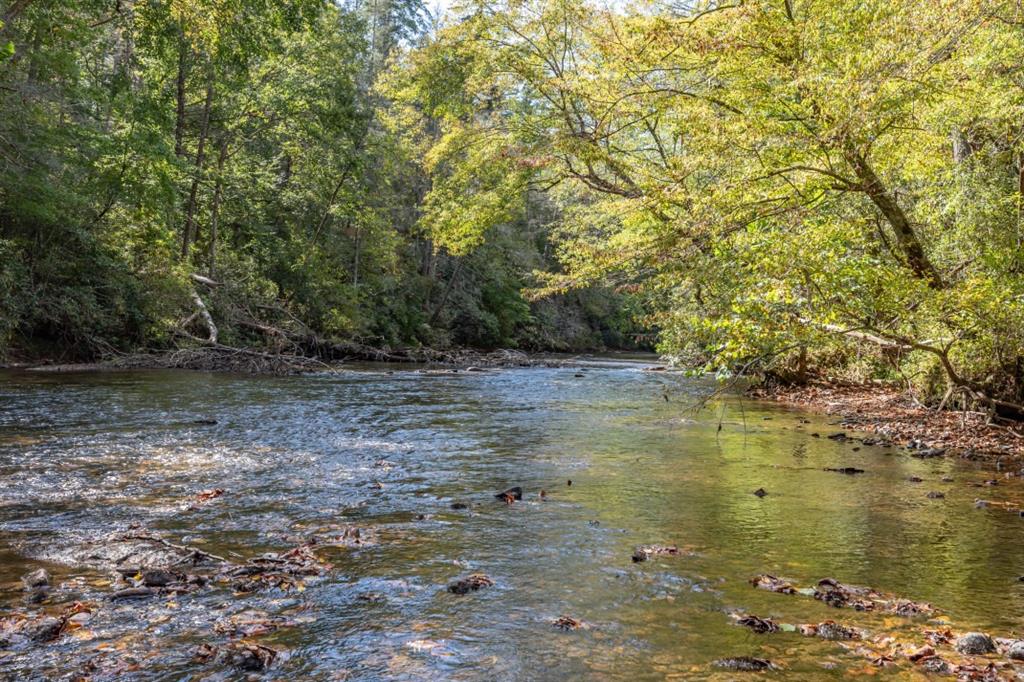 Old Rock Creek Road, Blue Ridge, Georgia image 30