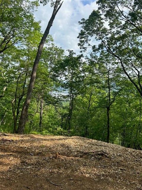 Vacant Land For Sale - 324 Adair Drive<br/> Ranger, GA 30734