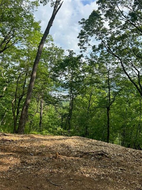 324 Adair Drive Ranger GA 30734