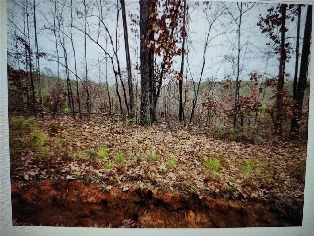 546100 Stonewall Tell