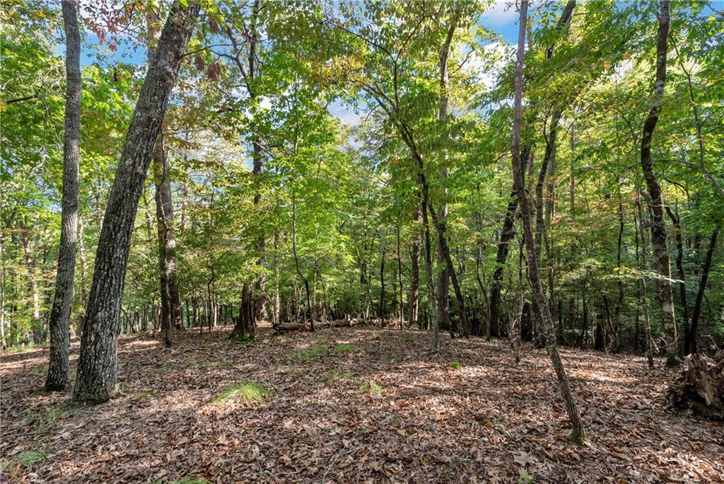 Spectacular .73-acre lush wooded lot, secluded on a private street, offers rare opportunity to build your dream home on versatile and easy build site surrounded by nature. Located in historic Dahlonega, Achasta presents a wealth of amenities including stunning Jack Nicholson Signature golf course with lovely clubhouse and restaurant, swim, tennis and new pickleball courts. 24-hour guard gate protects this pristine community featuring walking trails, fishing pavilion, and new community garden. 65 miles north of Atlanta, the Hallmark-worthy town of Dahlonega has won several accolades for safety and livability and boasts a beautiful library, variety of festivals, NGU and fabulous new recreation center and water park! Just minutes from rivers and lakes, the Appalachian Trail, a collection of noted restaurants and wineries, you will be able to choose from numerous outdoor, academic and cultural activities. Brand new hospital and Publix and the charming downtown complete this idyllic place to call home.