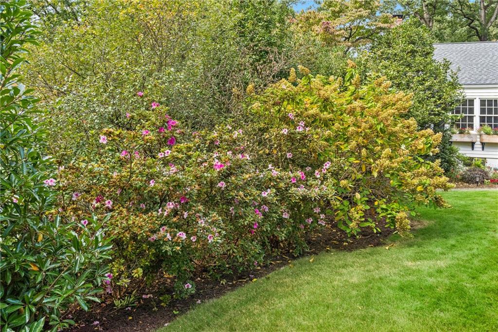 Pine Hills - Residential