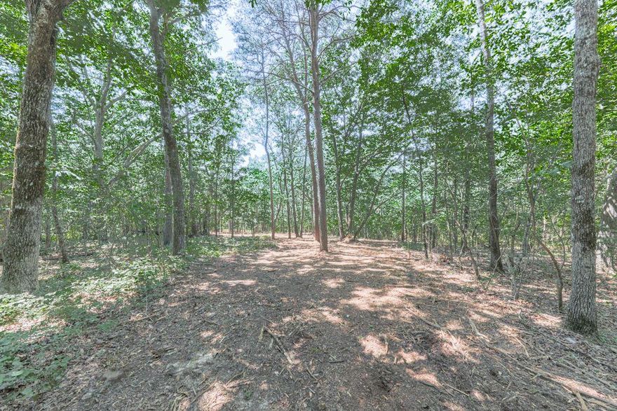 5.51 Acres – Road Frontage on Rockhouse Rd with Water Meter in Place!
This beautiful tract offers a great opportunity to build in a quiet, peaceful, and private setting just 45 minutes from Atlanta. Soil work is complete, and the house site has already been mulched—ready for your custom home. Enjoy seasonal long-range views, with potential for year-round vistas through selective clearing. No HOA or covenants, offering true freedom to build your way. Great road frontage and easy access. A rare find with utilities in place and endless potential!