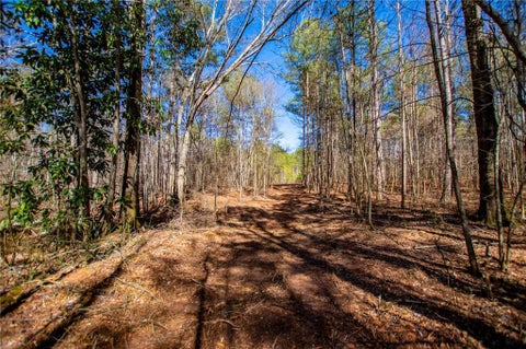 Vacant Land For Sale - Hwy 166 E - 21+ Acres<br/> Carroll County, Bowdon, GA 30108