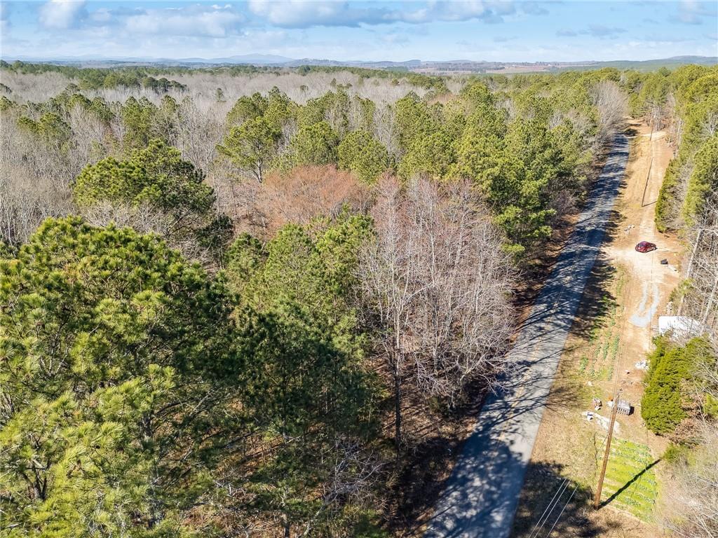 Tract4 Dunn Road, Silver Creek, Georgia image 43
