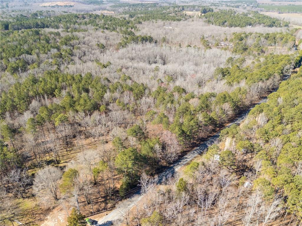 Tract4 Dunn Road, Silver Creek, Georgia image 42