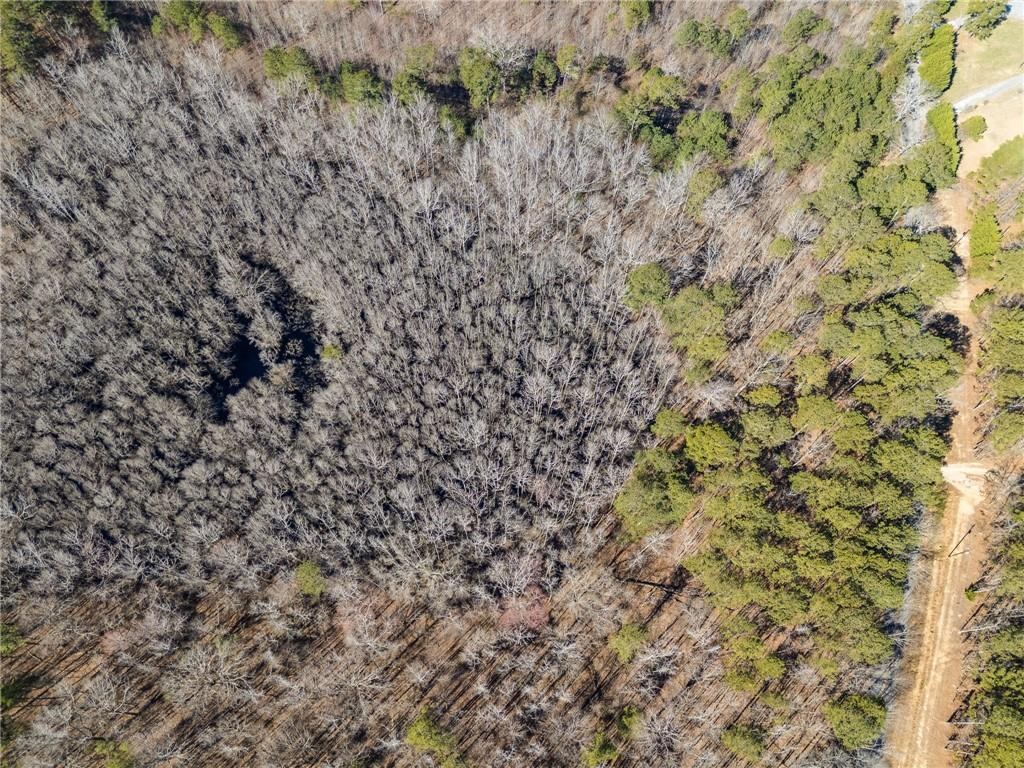 Tract4 Dunn Road, Silver Creek, Georgia image 39