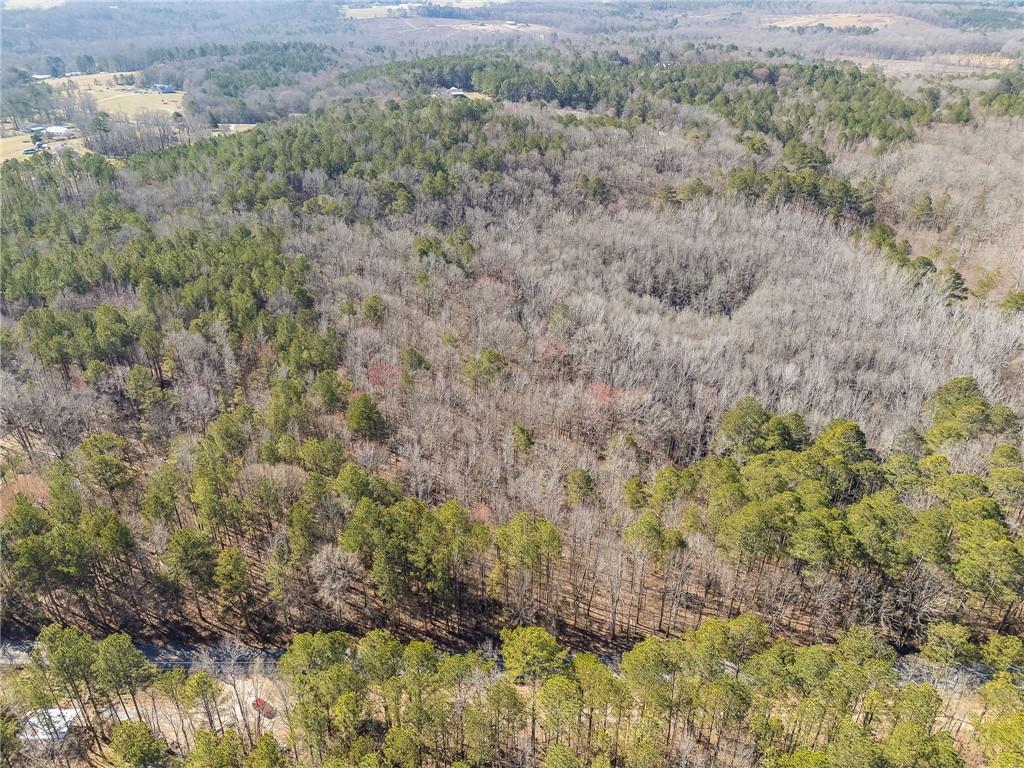 Tract4 Dunn Road, Silver Creek, Georgia image 40