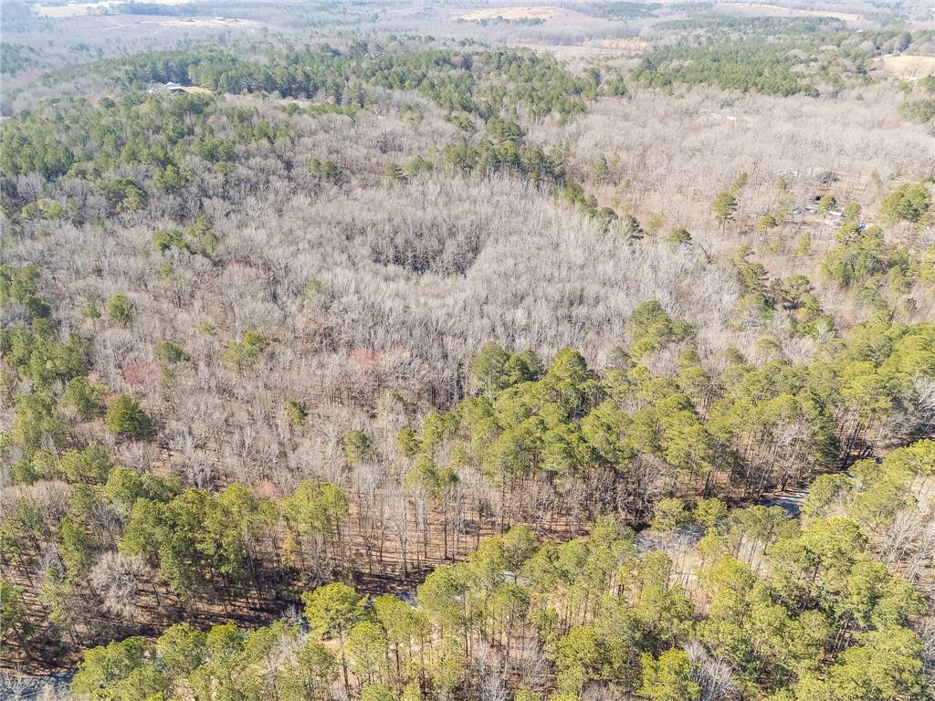 Tract4 Dunn Road, Silver Creek, Georgia image 38