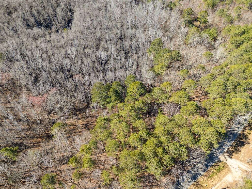 Tract4 Dunn Road, Silver Creek, Georgia image 44