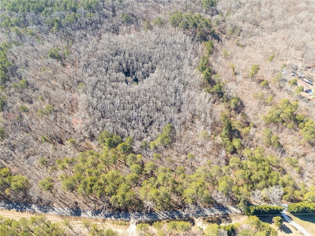 Tract4 Dunn Road, Silver Creek, Georgia image 34