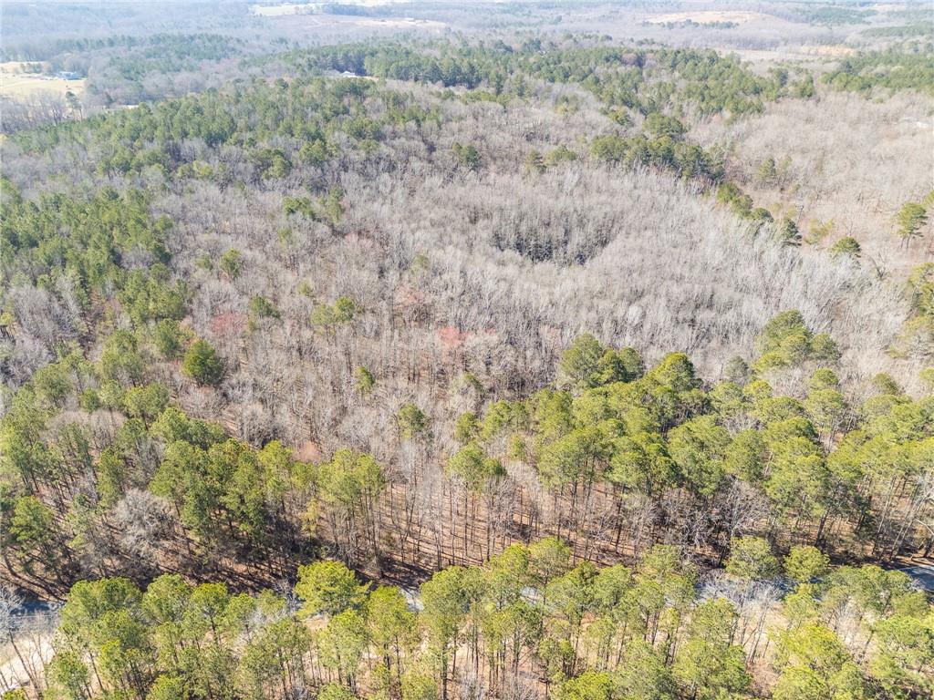 Tract4 Dunn Road, Silver Creek, Georgia image 45