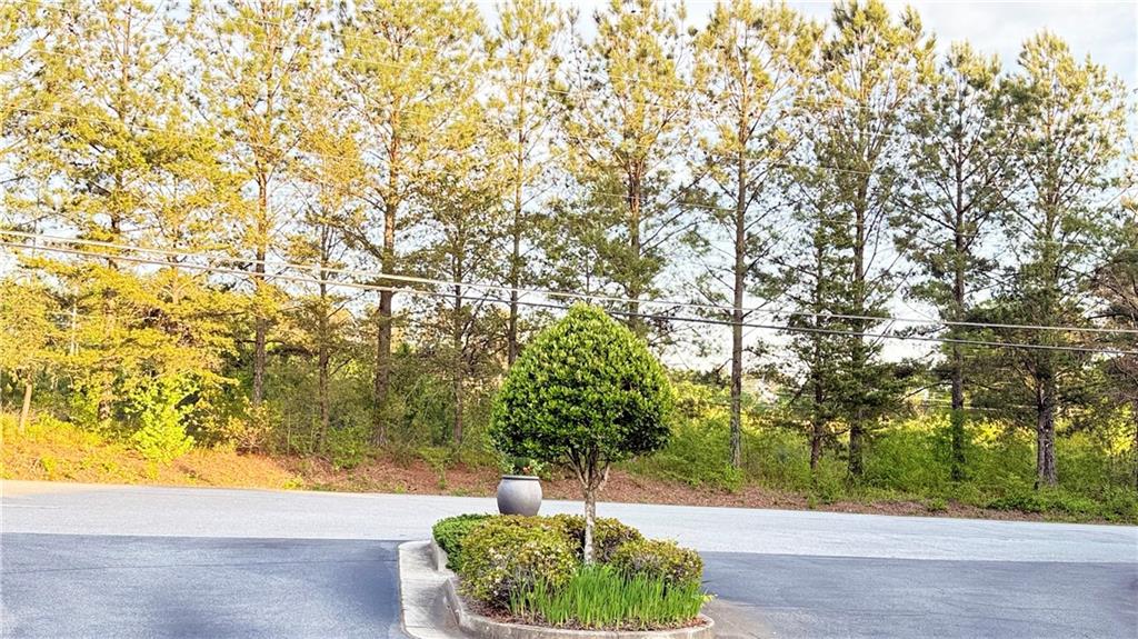 3832 Abbott Lane #1, Powder Springs, Georgia image 29