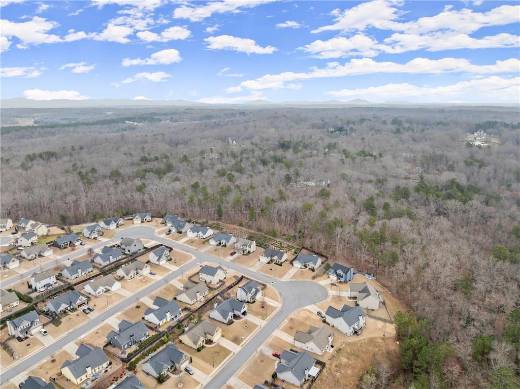 121 Harrier Drive, Dawsonville, Georgia image 41