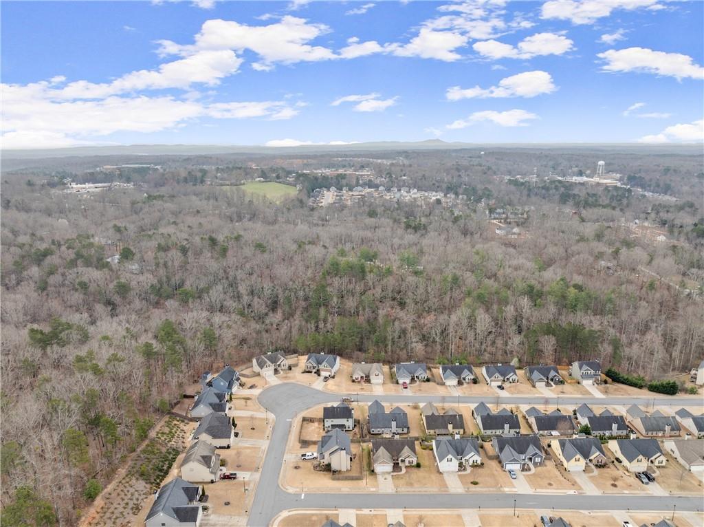 121 Harrier Drive, Dawsonville, Georgia image 43