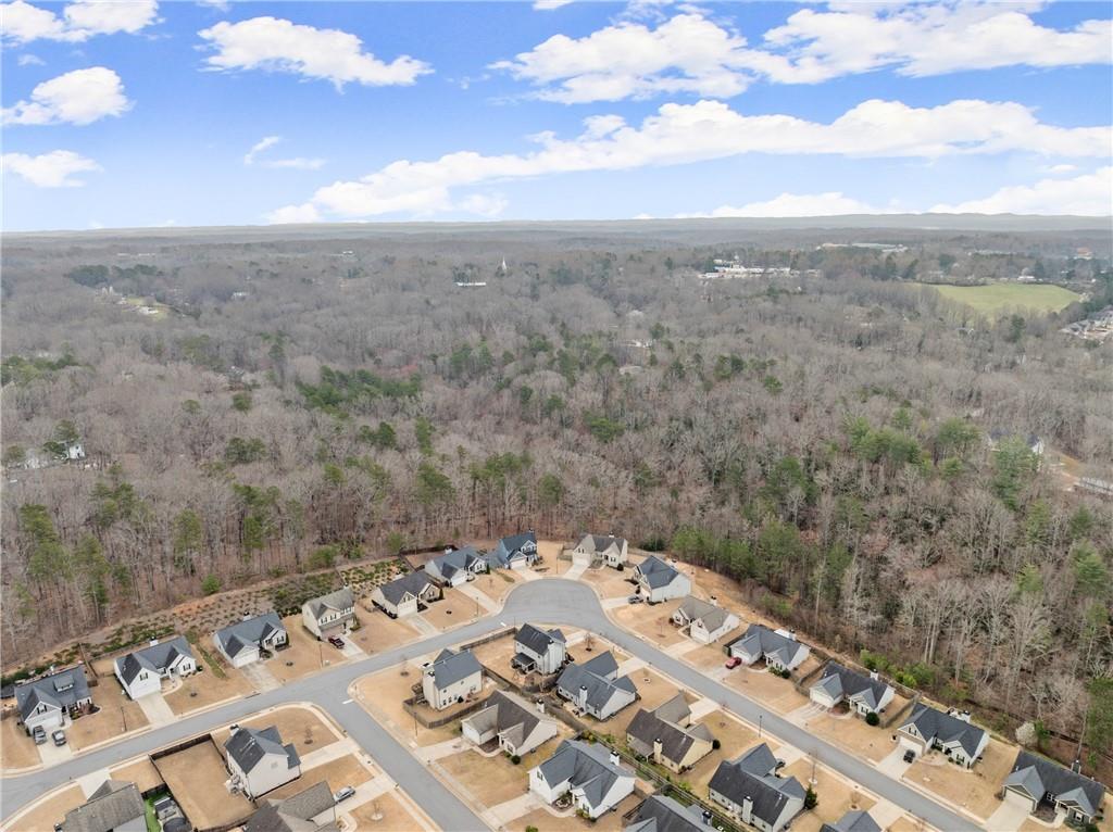 121 Harrier Drive, Dawsonville, Georgia image 42