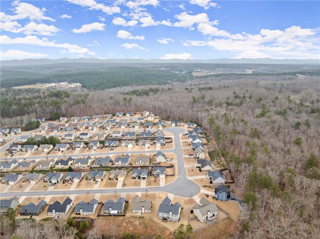 121 Harrier Drive, Dawsonville, Georgia image 39