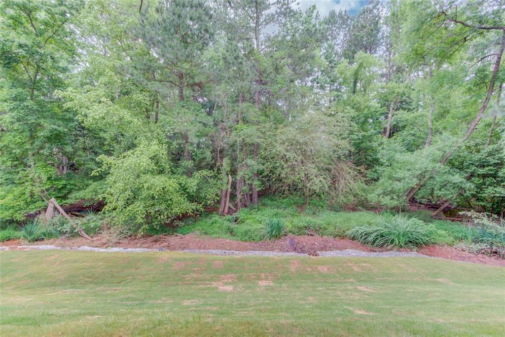 262 Sandhurst Court, Suwanee, Georgia image 44