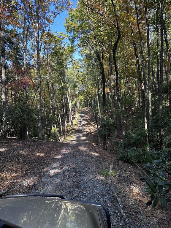 Tract2 Turniptown Road, Ellijay, Georgia image 29