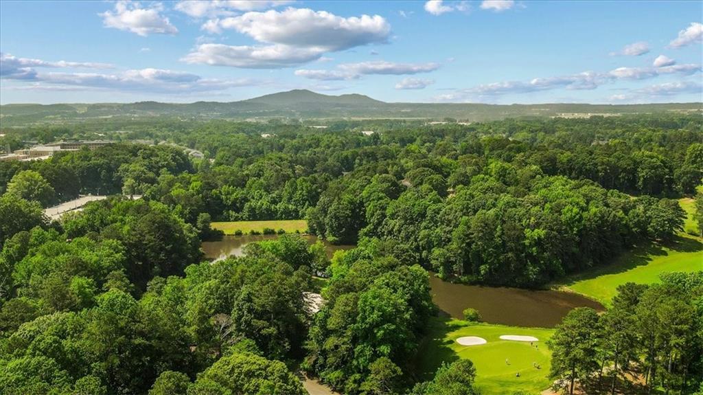 1323 Frey Lake Court