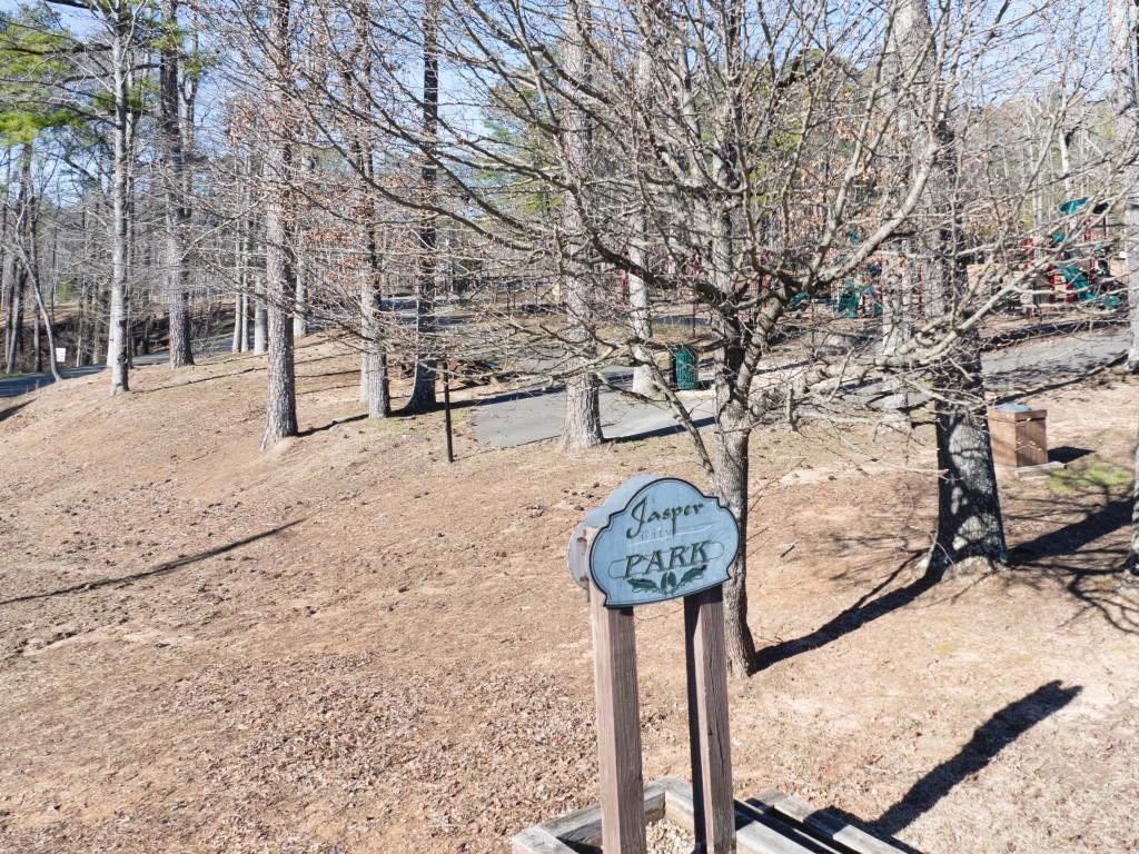 130 Rolling Meadow Trace, Jasper, Georgia image 37
