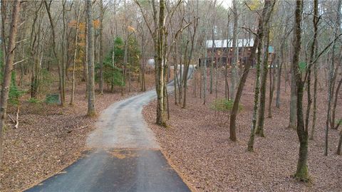 A home in Mineral Bluff