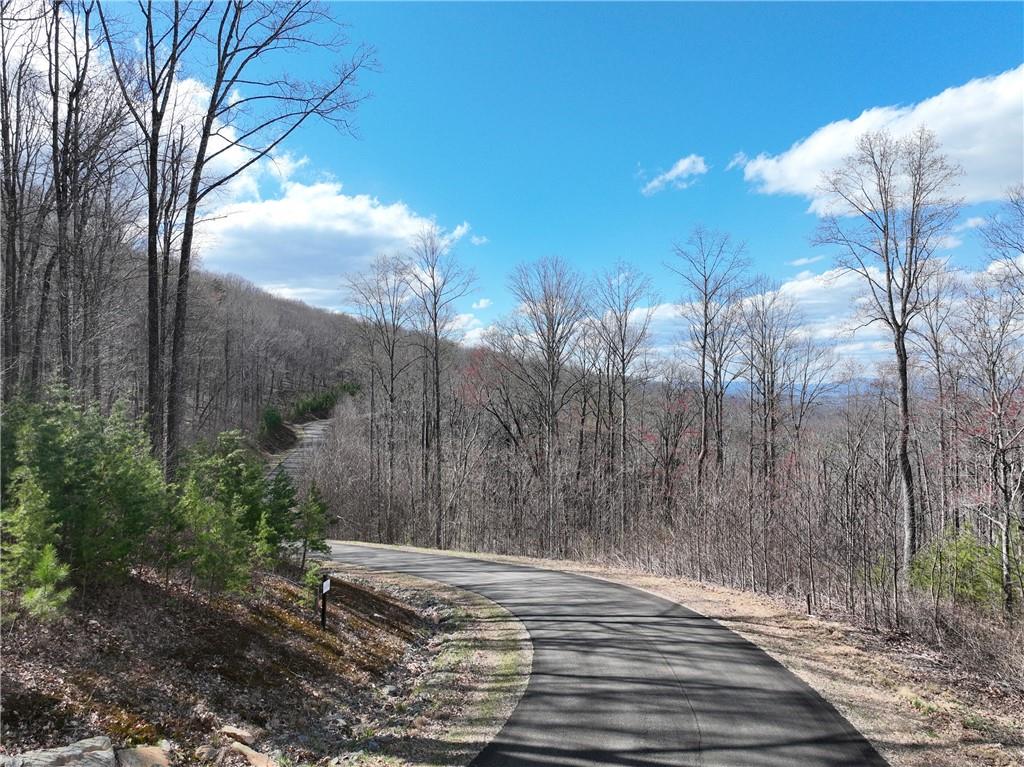 270R Stone Cliff Drive, Ellijay, Georgia image 8