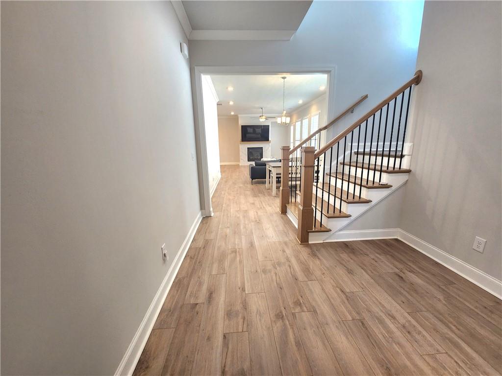1003 Shurcliff Lane