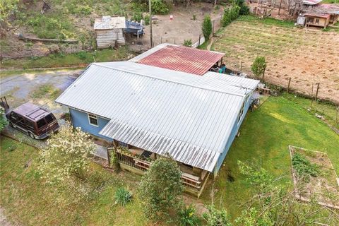 A home in Ellijay