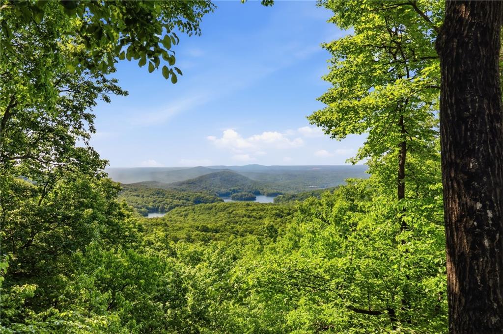 1115 Wild Turkey Bluff