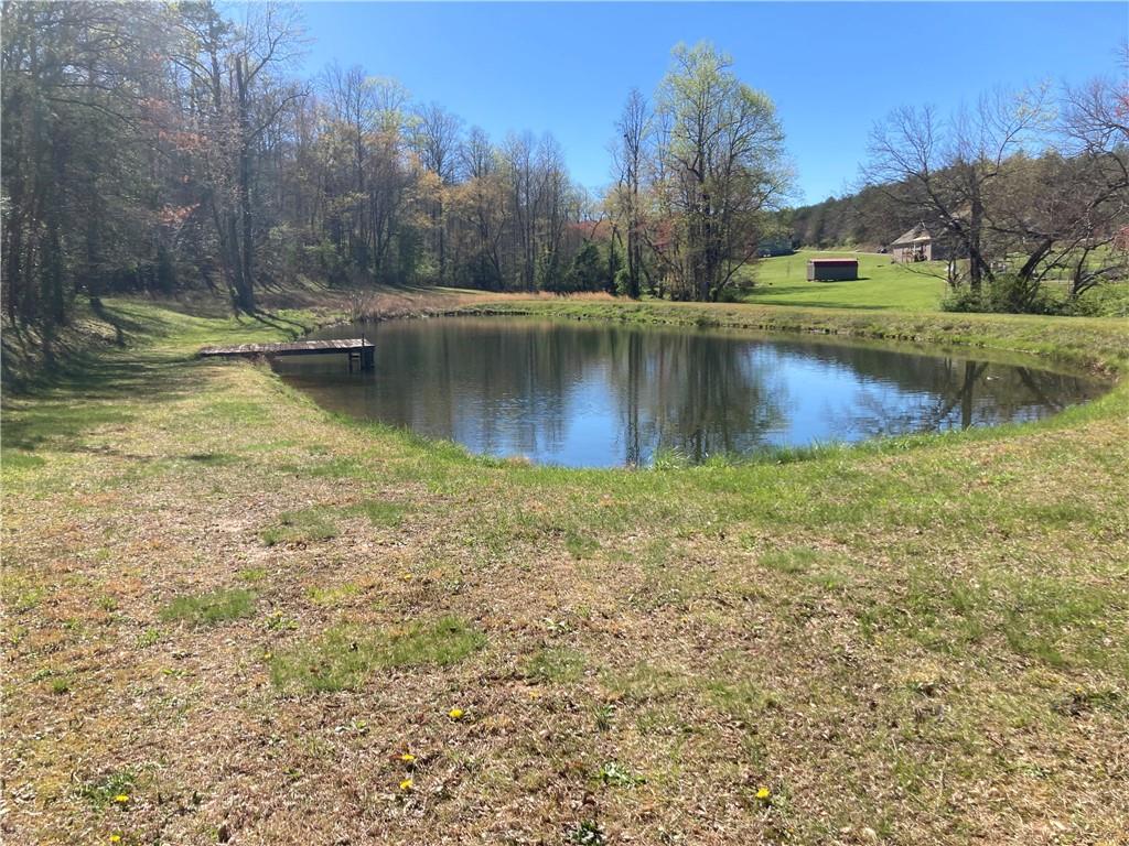 Coras Way Lot 38, Blairsville, Georgia image 14