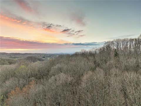 Vacant Land For Sale - LOT 7 Mount Mincie Road<br/> Lumpkin County, Murrayville, GA 30564