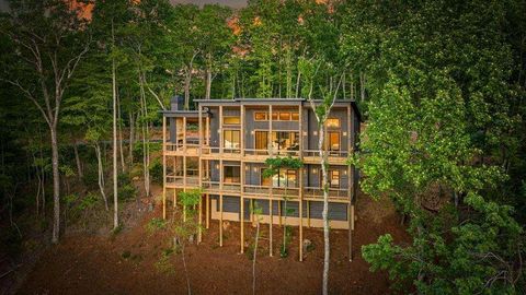 Homes For Sale - 146 7 Figure Ridge<br/> Fannin County, Blue Ridge, GA 30513