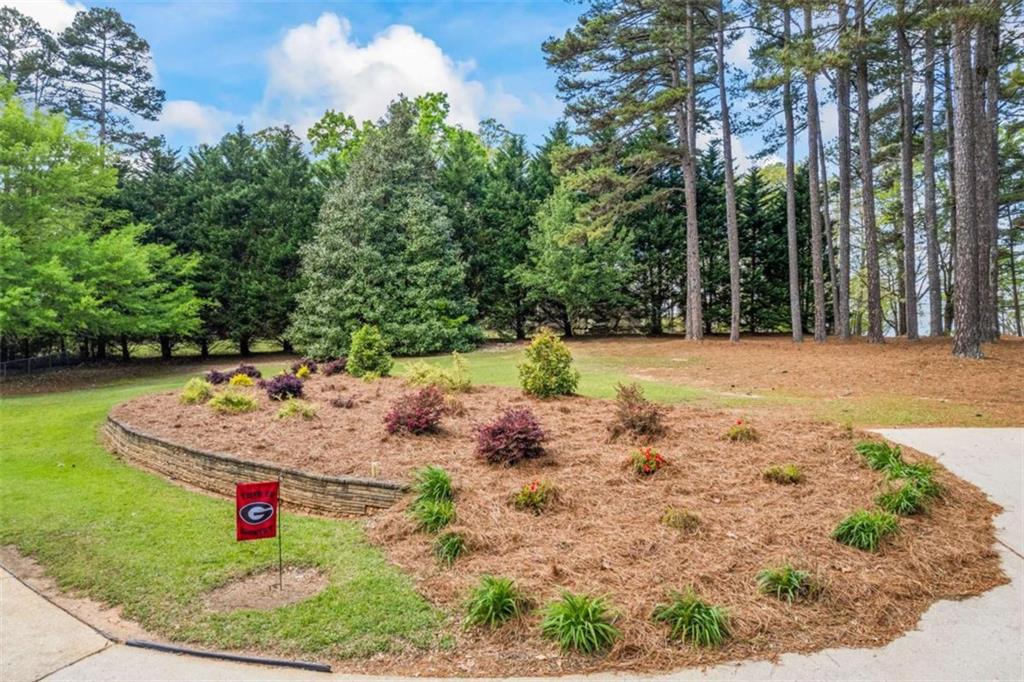 338 Punkin Junction Road, Bethlehem, Georgia image 28